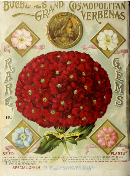 1895-back-cover-verbenas.png