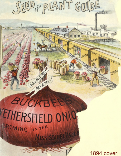 1894-cover-onion-train-.png