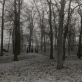 Effigy mound history in Madison, Wisconsin, circa 1938.