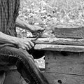 16859750-this-man-is-using-a-pioneer-draw-knife-on-wood-used-to-remove-bark-from-timber-in-this-vintage-black