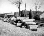 Frank J Hess and Son's Cooperage business in operation for 62 years(1904-1966).  3
