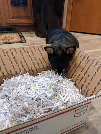 The box is opened!
