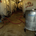 Pumping the yeast into the wort fermenting tank.