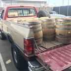 Several 31 gallon white oak beer barrels for sale.