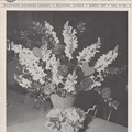 March 1957 Plant News.