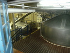 Looking out from Brewer Brad's office at the 200 barrel(6000 gallons) MDV Brew kettle and Lauter-Tun.