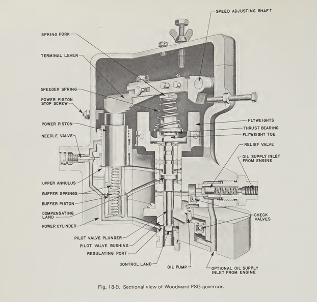 6B.jpg