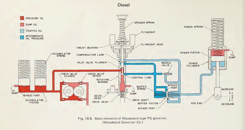 4B.jpg