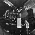 A Nash-Kelvinator Company Propeller assembly made under contract from the Hamilton Standard Company.