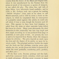 b28053412 0519