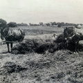 An Emerson Brantingham Implement Company Photo.