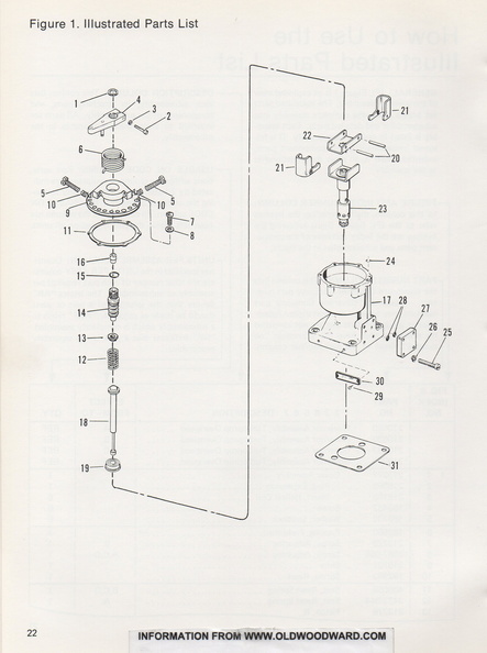 A schematic drawing of the governor parts.