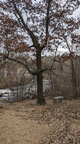 ACROSS THE RIVER IS THE BIG PLOVER MILLS POWER COMPANY AT THE JORDAN DAM.