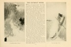 83