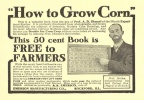 "How to Grow Corn"