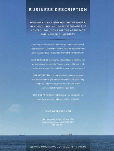 BUSINESS DESCRIPTION.