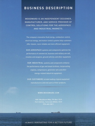 BUSINESS DESCRIPTION.
